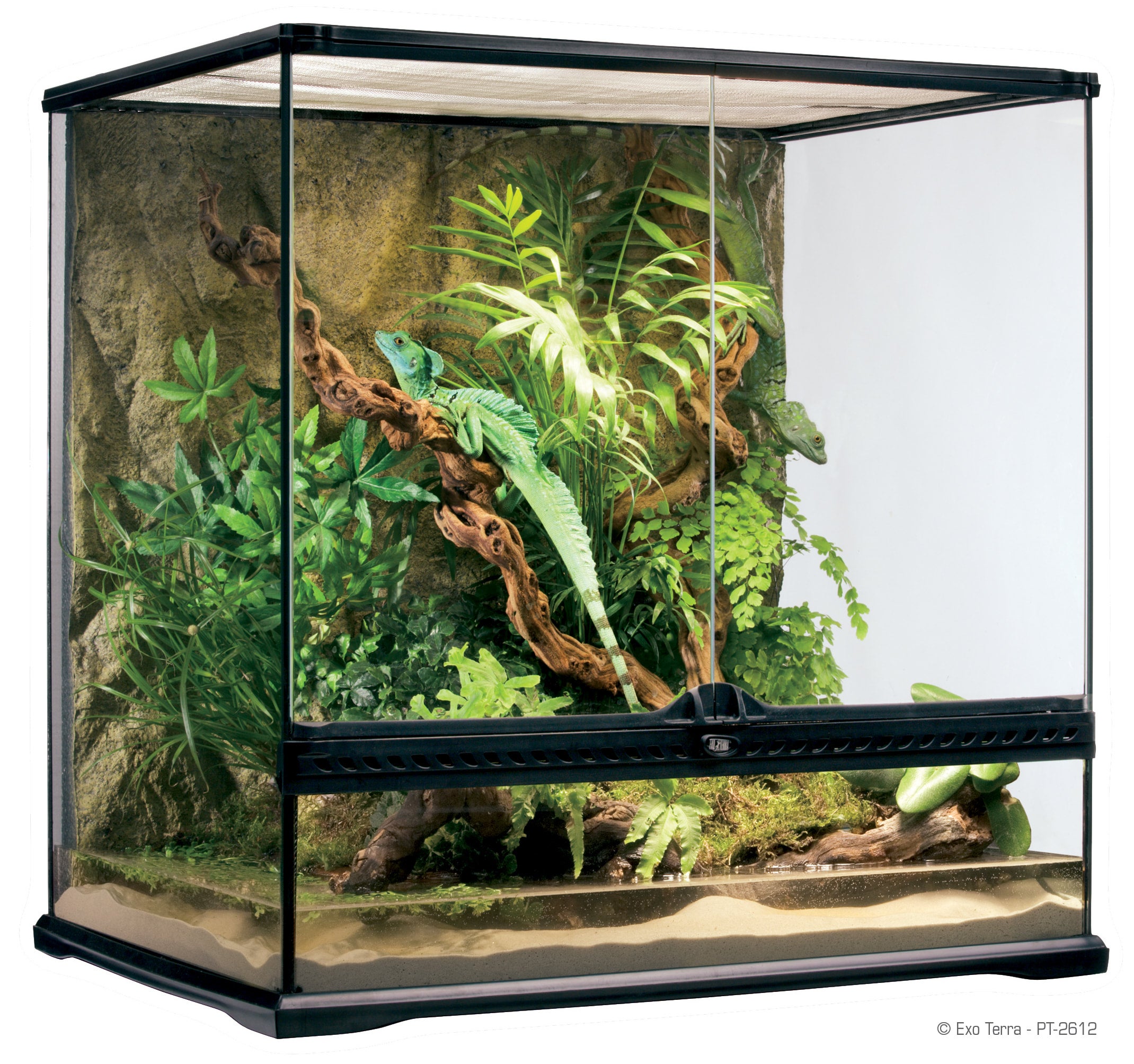 Exo-Terra Glass Terrariums Gecko World Austin Gecko World Austin