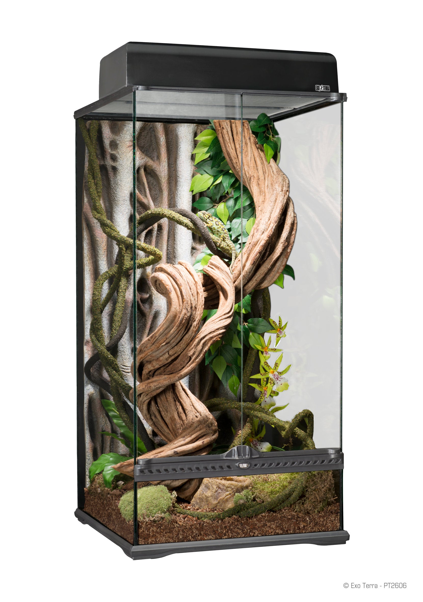 Exo-Terra Glass Terrariums Gecko World Austin Gecko World Austin