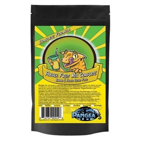 Pangea | Gecko World Austin