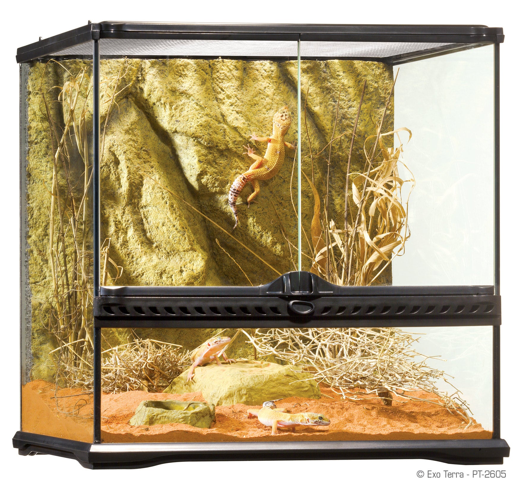 Exo-Terra Glass Terrariums Gecko World Austin Gecko World Austin