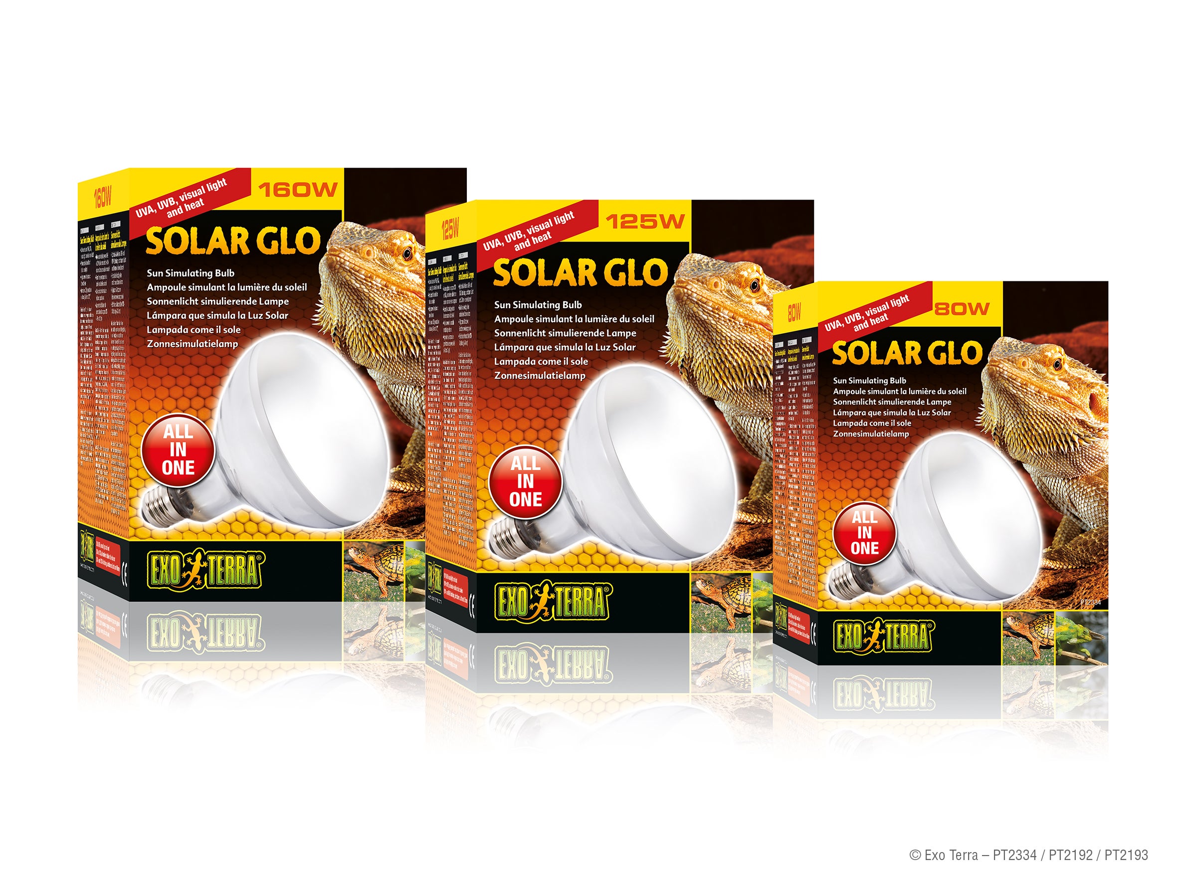 Solar glo all shops in one